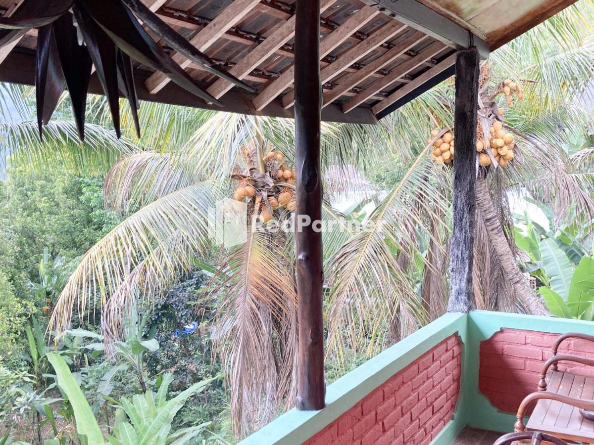 Taman Ayu Homestay Munduk Mitra Reddoorz Buitenkant foto