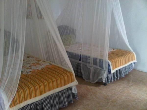 Taman Ayu Homestay Munduk Mitra Reddoorz Buitenkant foto